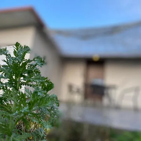 Riqionian House * Vromonérion