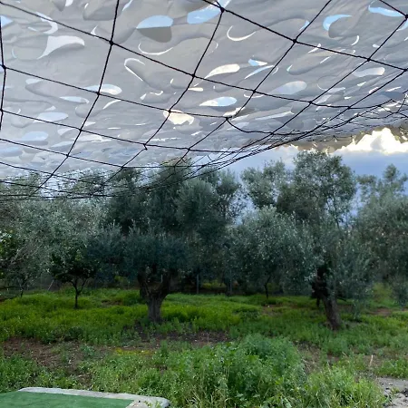 Riqionian House 别墅