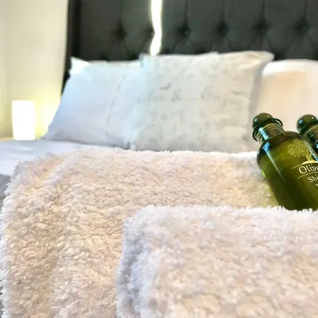 别墅 Riqionian House *