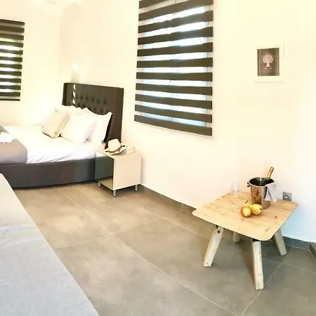 فيلة Riqionian House *
