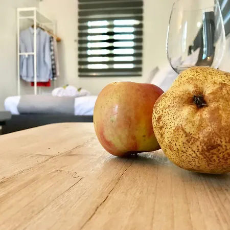 Riqionian House Vromonérion