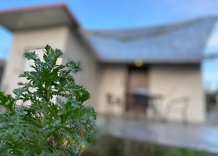 Riqionian House * Vromonérion