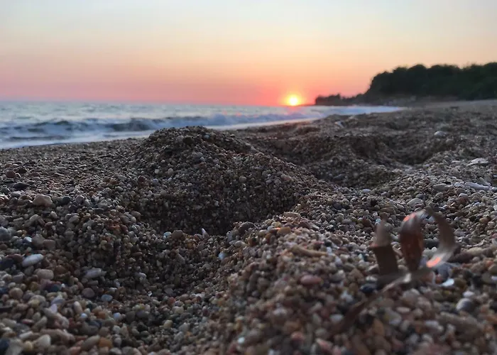 Riqionian House Villa *